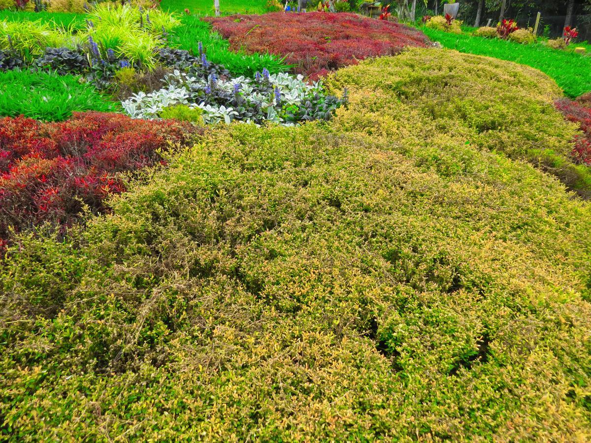 Cabanas Y Flores Jericoc  Ngoại thất bức ảnh